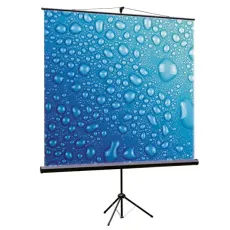 Мобильный экран для проектора Viewscreen Clamp (16:9) 209*120 (203*114) MW (арт. TCL-16903)