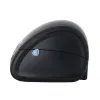 Принтер этикеток Mertech LP58 EVA RS232-USB Black (арт. 4522)