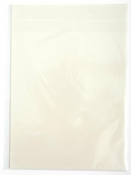 Пленка DCTec горячего отрыва, A4, 20 л (арт. FDTFH-A4-20)