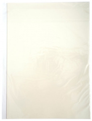 Пленка DCTec горячего отрыва, A3, 20 л (арт. FDTFH-A3-20)