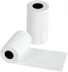 Чековая лента Cactus (57 мм, 32 м) (арт. CS-RT57-32)