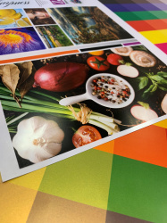 Синтетическая бумага Technoevolab Revolution Never Tear, 195 мкм, A3 (50 листов) (арт. 450L60009)