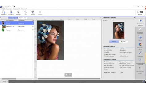 Программное обеспечение Epson Edge Print (арт. C12C934181)