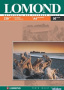 Бумага Lomond 0102016 (арт. 0102016)