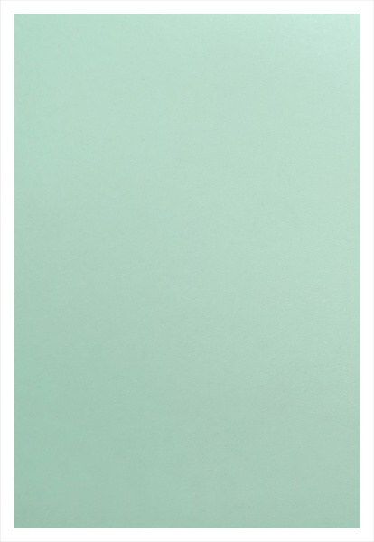 Обложка для переплета Реалист ПП, матовые А4, 0,40мм, прозрачные/зелёные (50 шт.) (арт. 4532)