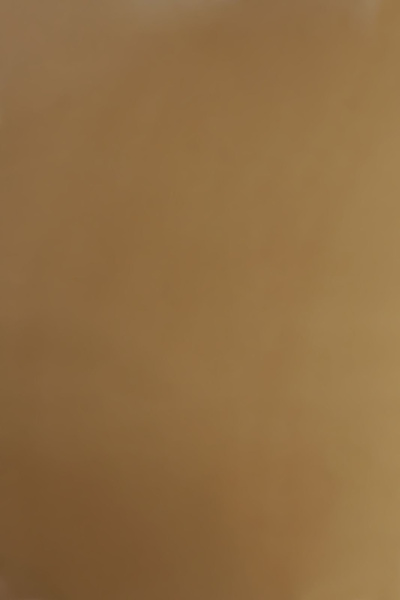 Обложка для переплета Реалист ПВХ, А3, 0,20мм, прозрачные/коричневые (100 шт.) (арт. 4408)