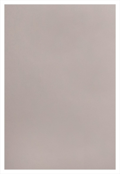 Обложка для переплета Реалист ПП, матовые А4, 0,40мм, прозрачные/дымчатые (50 шт.) (арт. 5440)