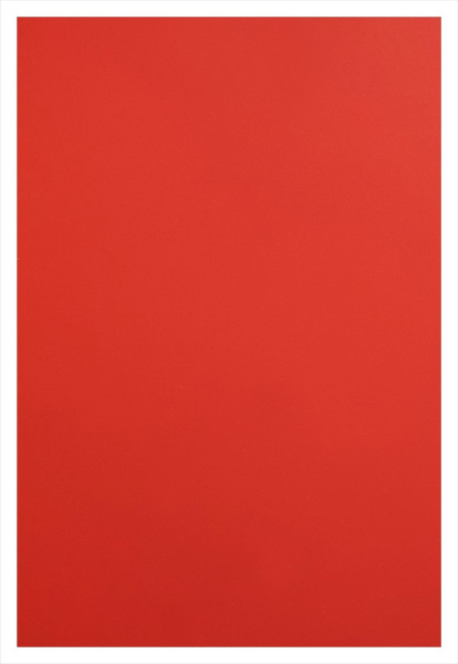 Обложка для переплета Реалист ПП, матовые А4, 0,40мм, прозрачные/красные (50 шт.) (арт. 6441)