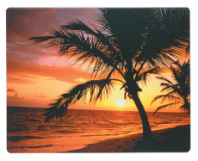 Коврик для мыши Fellowes ПАЛЬМА (арт. FS-58750)