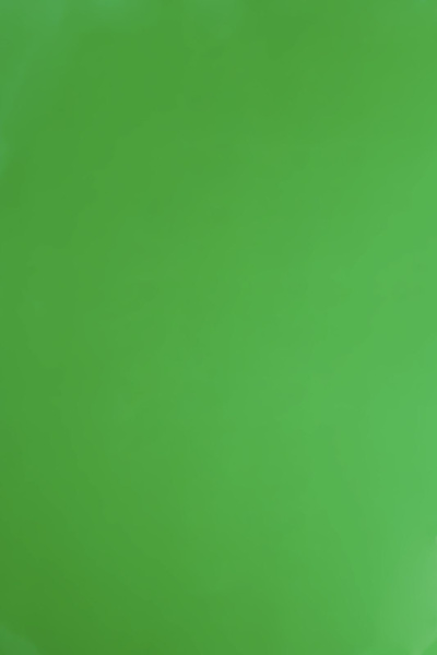 Обложка для переплета Реалист ПВХ, А3, 0,20мм, прозрачные/зеленые (100 шт.) (арт. 4407)