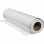 Холст Albeo Synthetic Gloss Canvas, 0,610×30 м, 260 г/м², 50,8 мм (2″) (арт. SGC260-24)