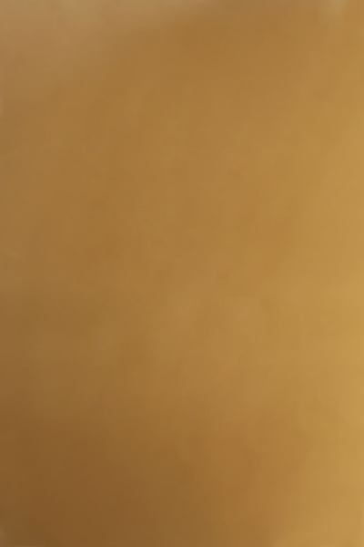 Обложка для переплета Реалист ПВХ, А3, 0,18мм, прозрачные/коричневые (100 шт.) (арт. 4404)