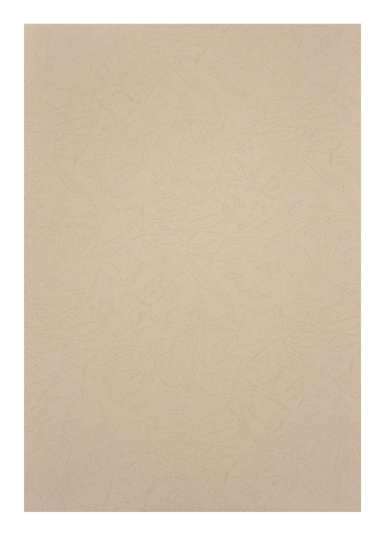 Картонные обложки для брошюровки Реалист кожа, А3, бежевые (100 шт.) (арт. 3901)