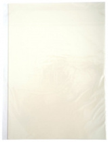 Пленка DCTec горячего отрыва, A3, 20 л (арт. FDTFH-A3-20)