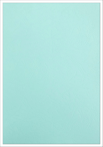 Картонные обложки для брошюровки Реалист кожа, А3, светло-голубой (100 шт.) (арт. 8662)