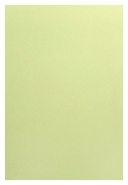 Обложка для переплета Реалист ПП, матовые А4, 0,40мм, прозрачные/желтые (50 шт.) (арт. 7293)