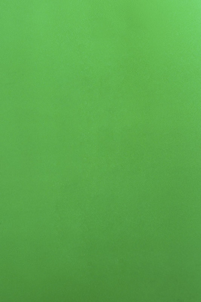 Обложка для переплета Реалист ПВХ, А4, 0,18мм, кожа, прозр/зеленые (100 шт.) (арт. 4389)