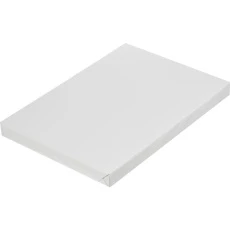 Мелованная бумага для лазерной печати Technoevolab ColorPrint Coated Silk 250 г/м², SRA3 (250 листов) (арт. 450L80038)