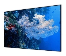 Экран на раме Cactus Alr Expert (151x267см) (арт. CS-PSALR-267X151)