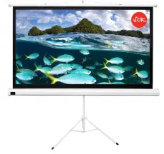 Экран для проектора SOK Cinema 266x150см TriScreen 16:9 напольный рулонный белый 120' (арт. SCPST-266x150)