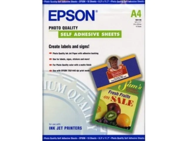 Бумага Epson Photo Quality SAS Paper 167 гр/м2, А4 (10 листов) (арт. C13S041106)