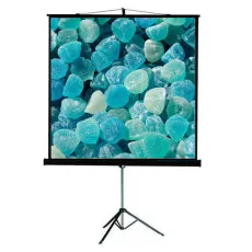 Мобильный экран для проектора Viewscreen Clamp Pro (16:10) 175*111 (169*105) MW (арт. TCP-16102)