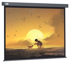 Экран Cactus Wallscreen (124.5x221см) (арт. CS-PSW-124X221-SG)