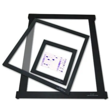 Сканер гелей Microtek Bio-6000T (арт. )