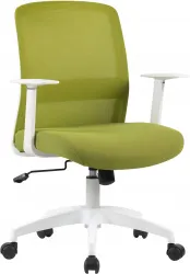 Кресло Cactus (салатовый) (арт. CS-WMC333-GN)