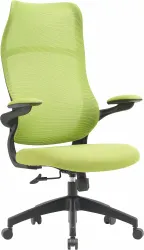 Кресло Cactus (салатовый) (арт. CS-MC505-GN)