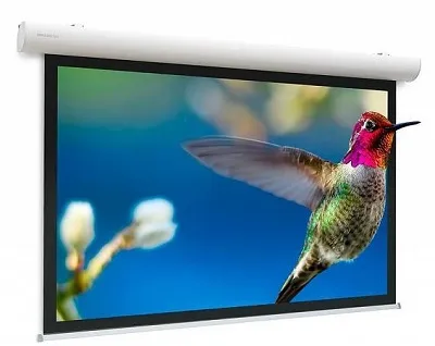 Экран для проектора Panasonic Projecta Elpro Concept 218 x 380 см (172") (арт. 97418)