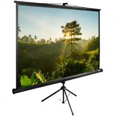 Экран для проектора Cactus 200x200см TriExpert 1:1 напольный рулонный черный (арт. CS-PSTE-200X200-BK)