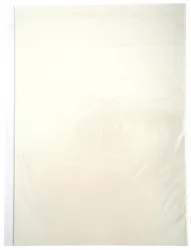 Пленка DCTec горячего отрыва, A3, 20 л (арт. FDTFH-A3-20)