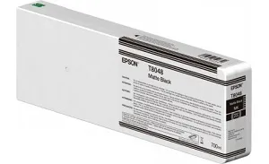 Оригинальный картридж Epson Singlepack Light Black T804700 UltraChrome HDX/HD 700ml (арт. C13T804700)
