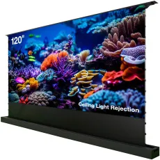 Экран Cactus (148x263см, напольный, рулонный, черный) (арт. CS-PSFRCLR-263X148)