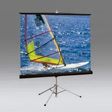 Переносной экран для проектора Draper на штативе Diplomat/R (1:1) 50*50″ 127*127 XT1000E (арт. 215001)