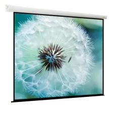 Моторизированный экран для проектора Viewscreen Breston (4:3) 244*183 (236*175) MW (арт. EBR-4305)