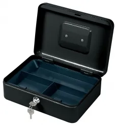 Ящик для денег Cactus (90x250x180) (арт. CS-CB-003)