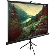 Экран для проектора Cactus 220x220см TriExpert 1:1 напольный рулонный черный (арт. CS-PSTE-220X220-BK)