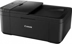 МФУ струйное цветное Canon PIXMA TR4540 (арт. 2984C007)