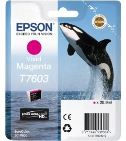 Картридж Epson T7603 (арт. C13T76034010)