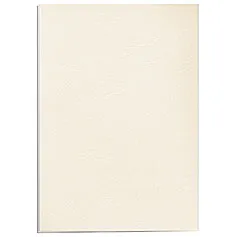 Обложка Fellowes FS-53700 (арт. FS-53700)