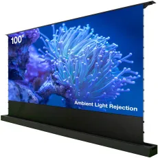 Экран Cactus (125x221см, напольный, рулонный, черный) (арт. CS-PSFRALR-221X125)