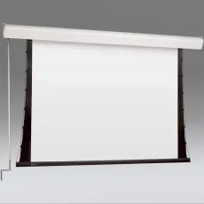 Моторизированный экран Draper Silhouette/C NTSC (3:4) 305/120″ 183*244 XH600V (HDG) (арт. 02203013)