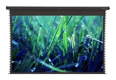 Моторизированный экран Viewscreen Regal, 554 x 376 (538 x 336) см, 16:10, PW, черный корпус, пульт (арт. RG-250F16*10)