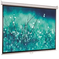 Ручной экран для проектора Viewscreen Scroll (16:9) 229*132 (221*124) MW (арт. WSC-16905)
