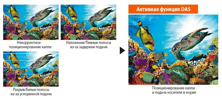 Mimaki TS100-1600: функция автоматической коррекции позиционирования чернильных капель и подачи носителя DAS (Dot Adjustment System) Mimaki TS100-1600: функция автоматической коррекции позиционирования чернильных капель и подачи носителя DAS (Dot Adjustment System)