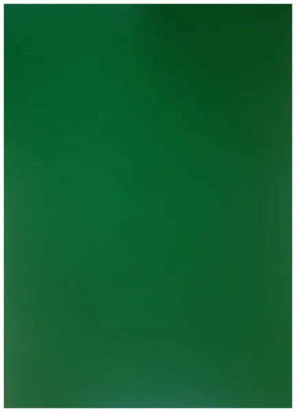 Картонные обложки для брошюровки Реалист глянец, А4, зеленые (100 шт.) (арт. 4518)