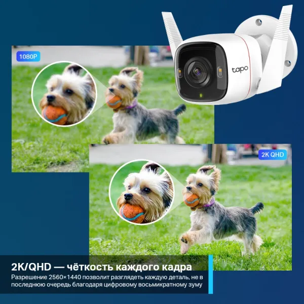 Камера TP-Link Tapo C320WS (арт. Tapo C320WS)