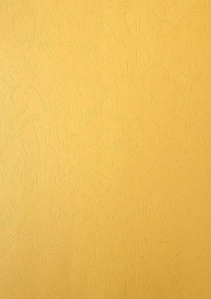 Картонные обложки для брошюровки Реалист кожа, А4, песочные (100 шт.) (арт. 3902)